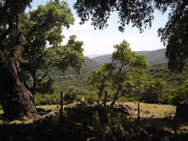 Mark till salu i Gaucín - 1 500 000 € (Ref: 6486051)