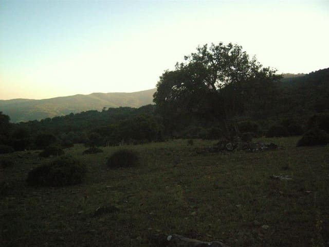 Terreno Non Edificato in vendita in Gaucín - 1.500.000 € (Rif: 6486051)