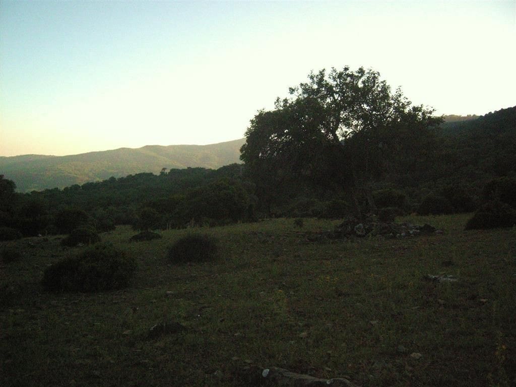 Terreno Non Edificato in vendita in Gaucin - 1.500.000 € (Rif: 6486051)
