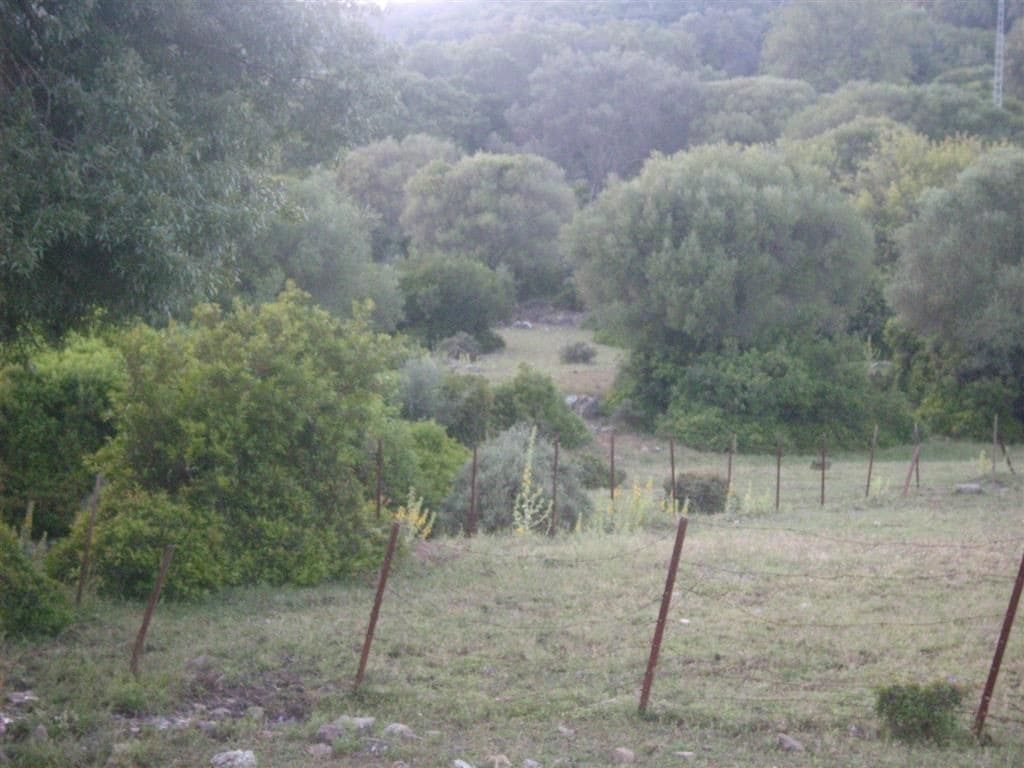 Terreno Non Edificato in vendita in Gaucin - 1.500.000 € (Rif: 6486051)