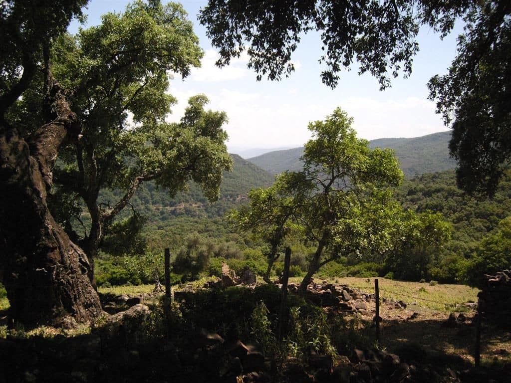 Terreno Non Edificato in vendita in Gaucin - 1.500.000 € (Rif: 6486051)