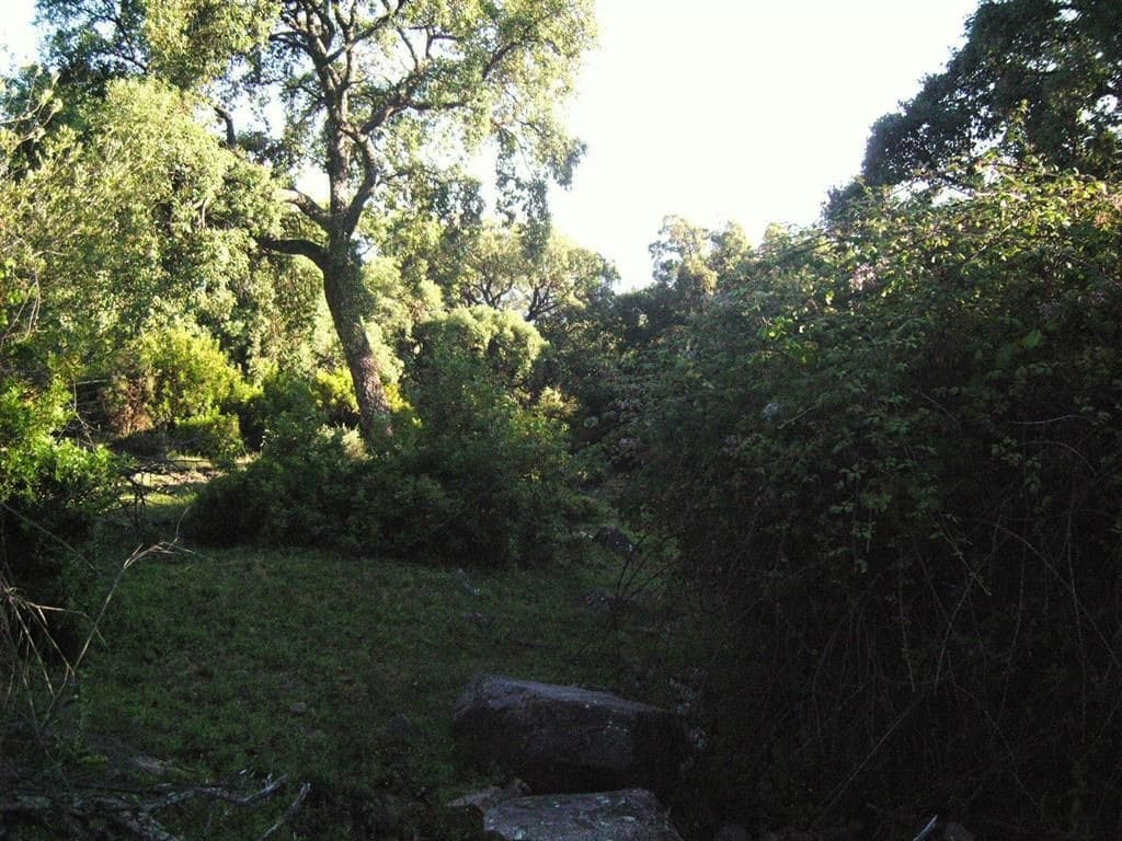 Terreno Non Edificato in vendita in Gaucin - 1.500.000 € (Rif: 6486051)