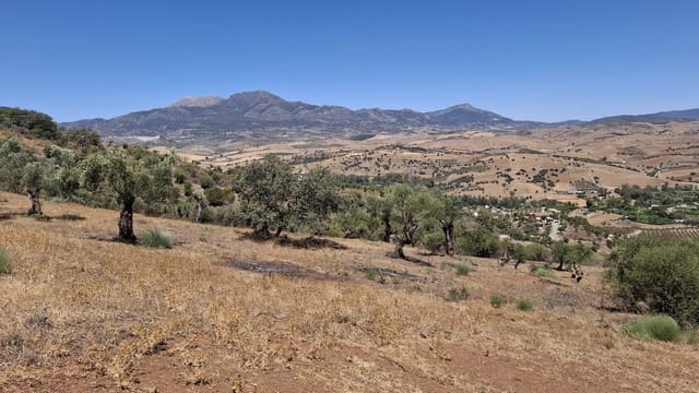 Terreno/Finca Rústica en Coín en venta - 300.000 € (Ref: 8557451)
