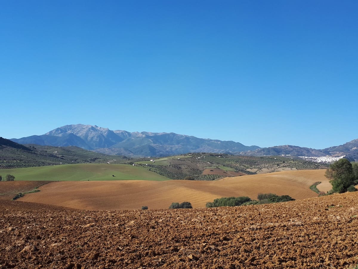 Undeveloped Land for sale in Coin - € 300,000 (Ref: 8557451)