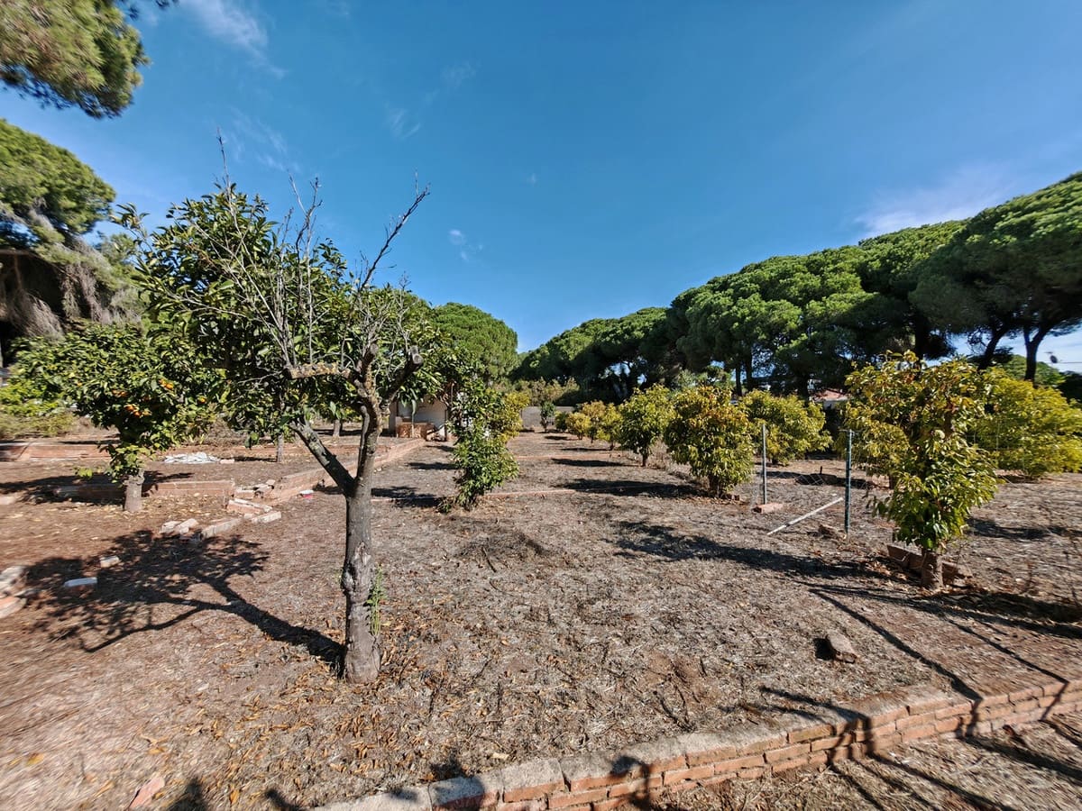 12 slaapkamer Villa te koop in Marbella met zwembad garage - € 1.900.000 (Ref: 9371990)