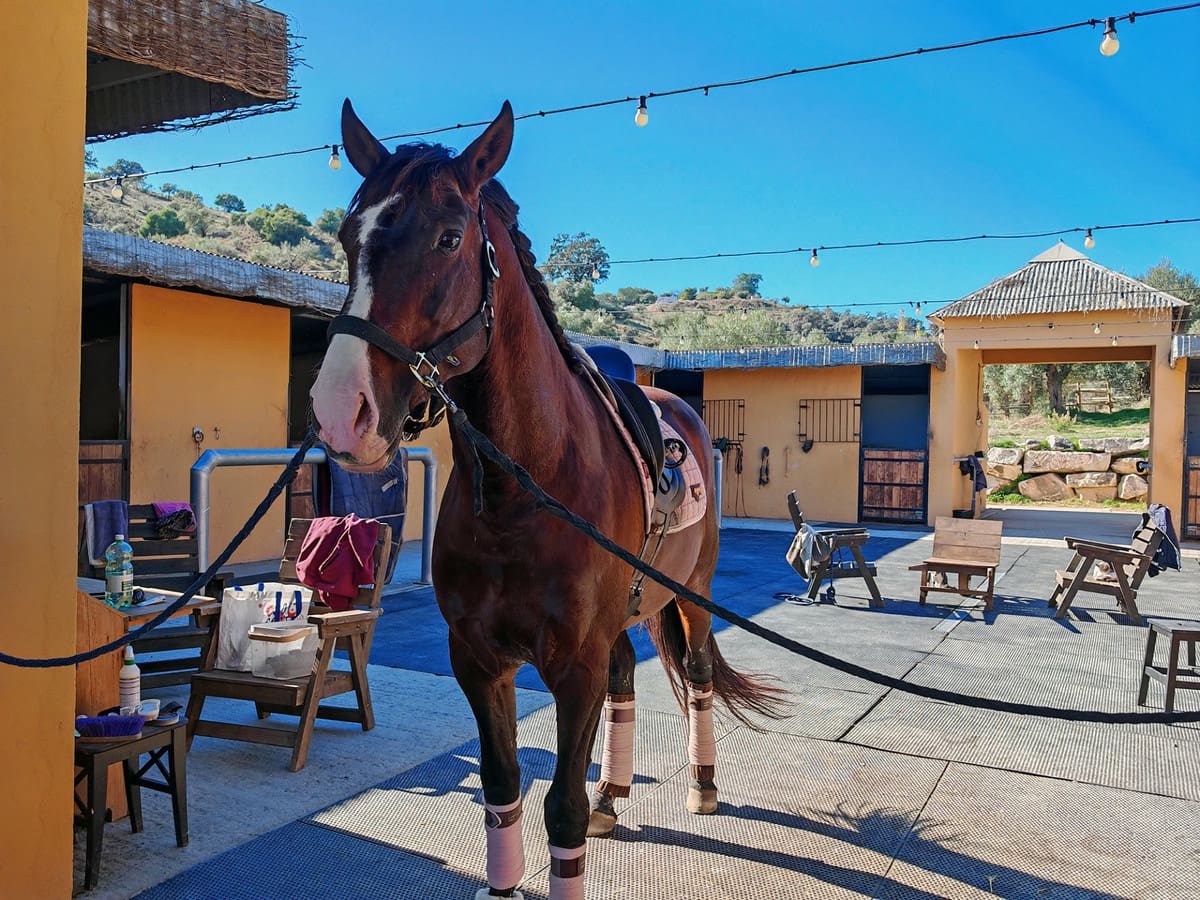 4 sypialnia Finka/Dom wiejski na sprzedaż w Coin z basenem garażem - 2 800 000 € (Ref: 9462040)