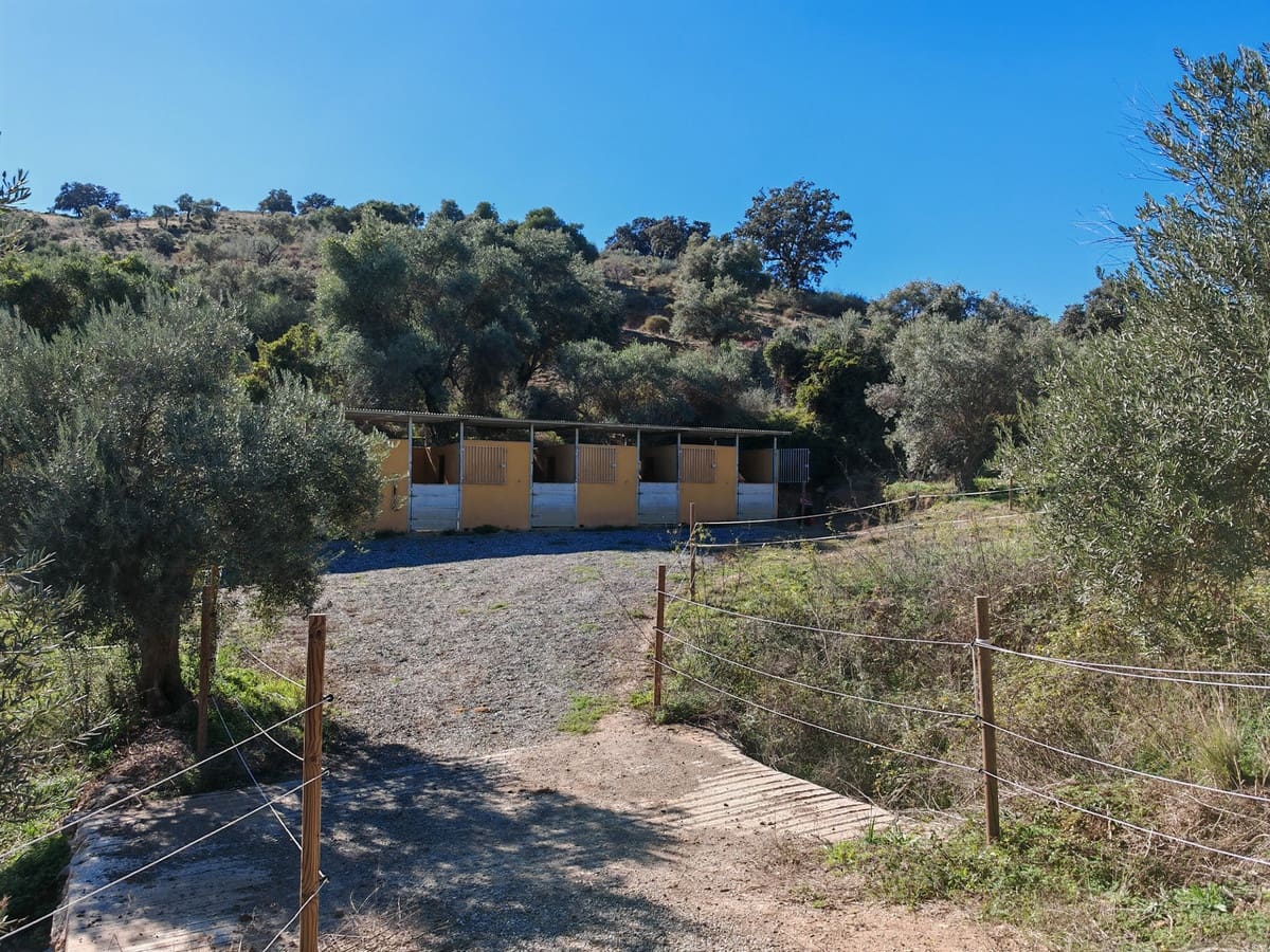 12 bedroom Finca/Country House for sale in Coin with pool garage - € 2,800,000 (Ref: 9462040)