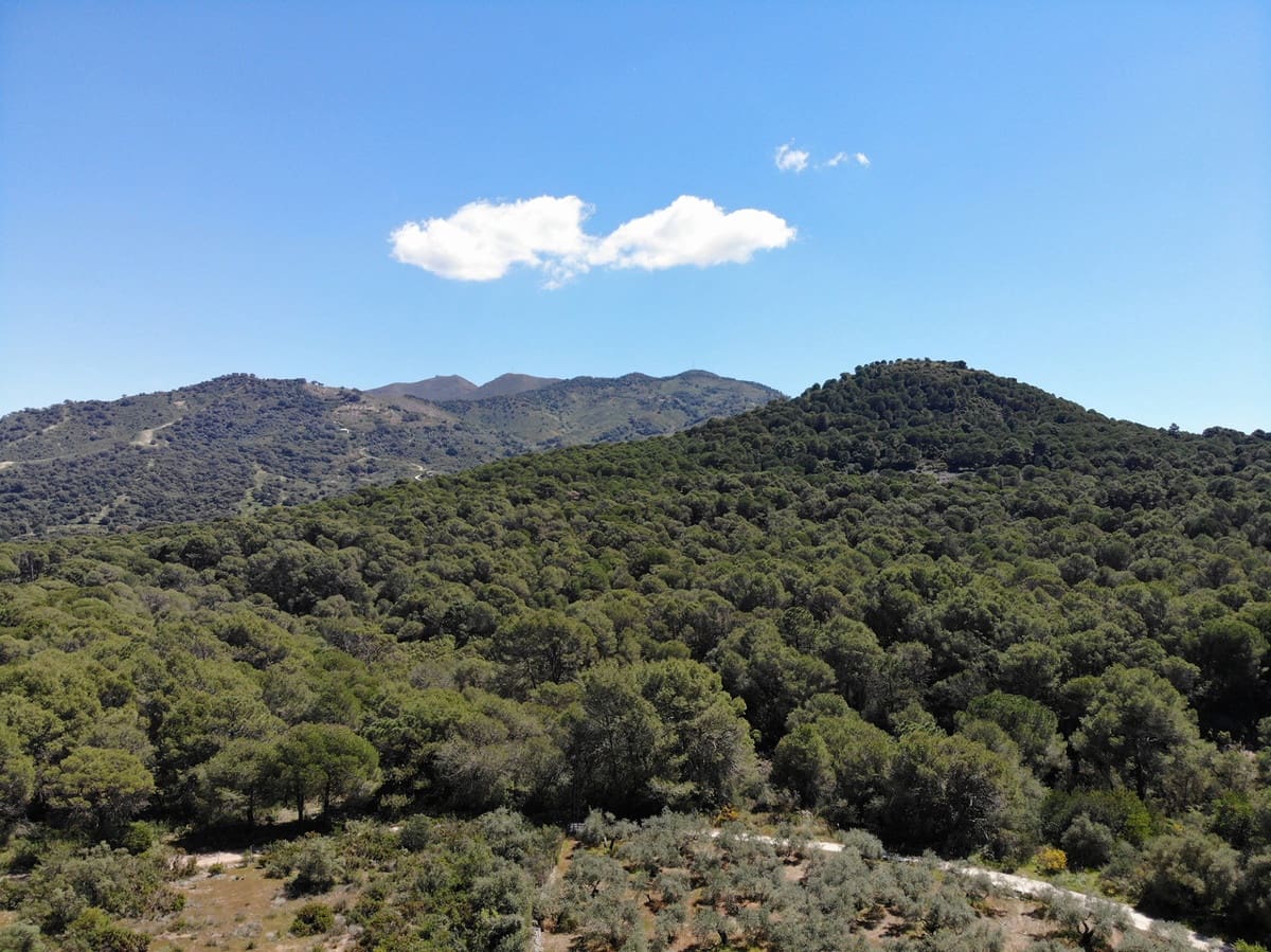 3 bedroom Finca/Country House for sale in Ojen with pool garage - € 595,000 (Ref: 9924596)