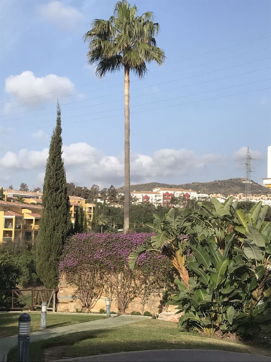 3 soveværelse Byhus til salg i Mijas Costa med swimmingpool garage - € 790.000 (Ref: 10163294)