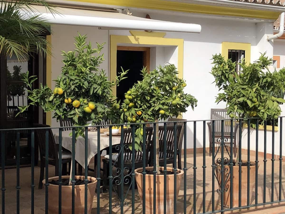 3 soveværelse Byhus til salg i Mijas Costa med swimmingpool garage - € 790.000 (Ref: 10163294)