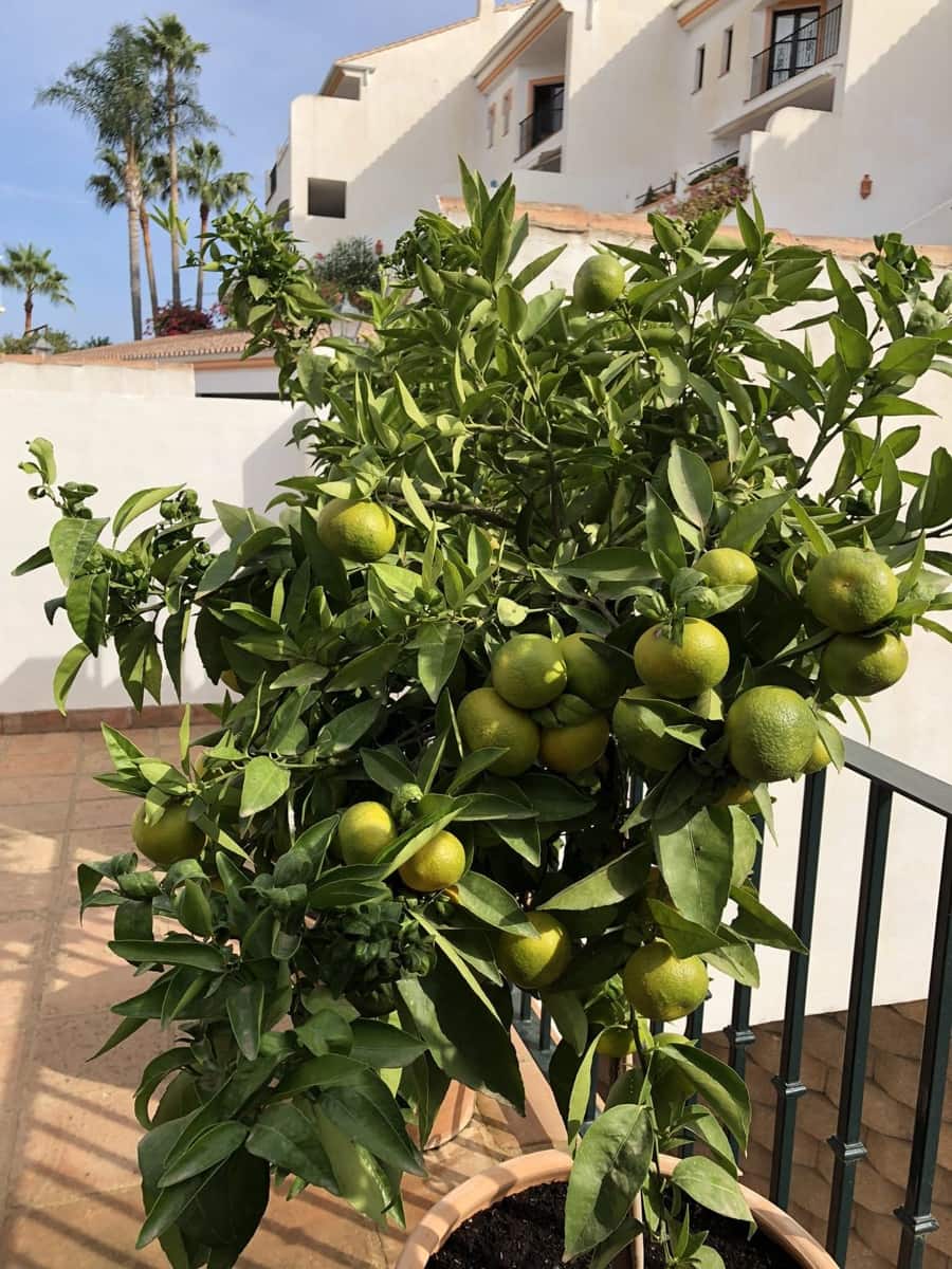 3 soveværelse Byhus til salg i Mijas Costa med swimmingpool garage - € 790.000 (Ref: 10163294)