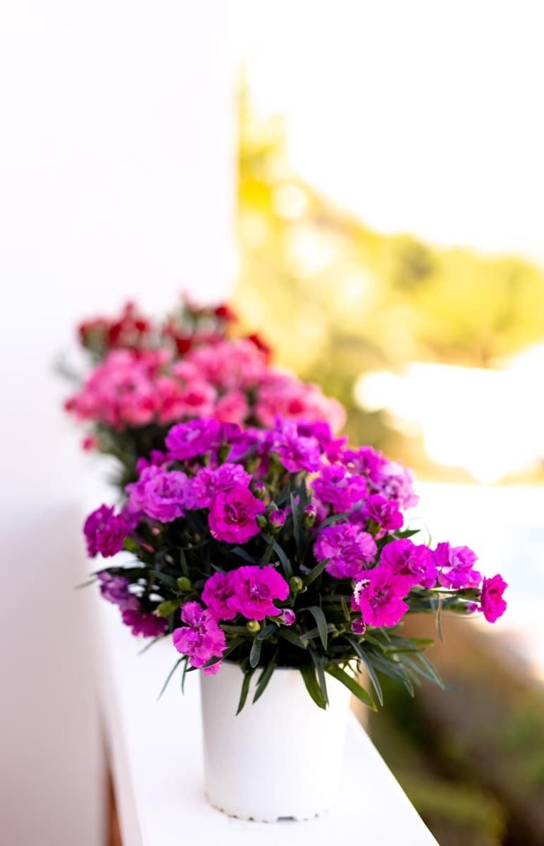 3 bedroom Townhouse for rent in La Cala Golf with pool - € 2,850 (Ref: 9296166)