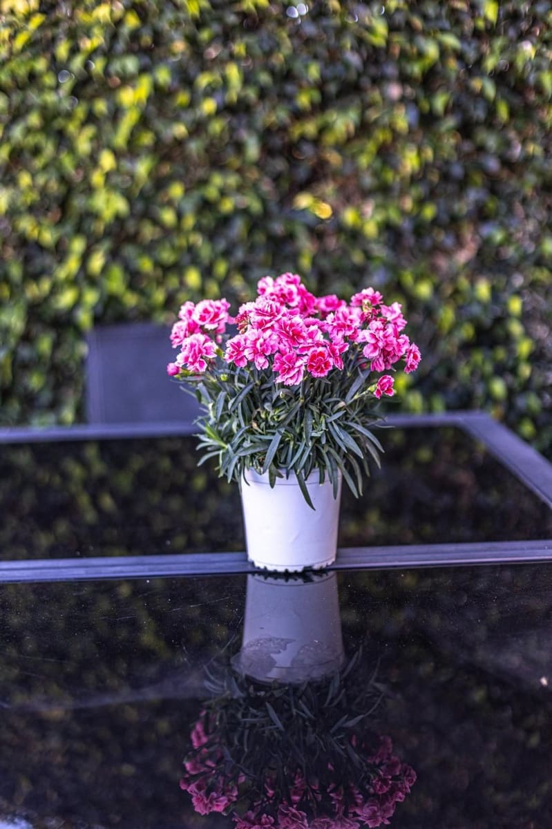 3 bedroom Townhouse for rent in La Cala Golf with pool - € 2,850 (Ref: 9296166)