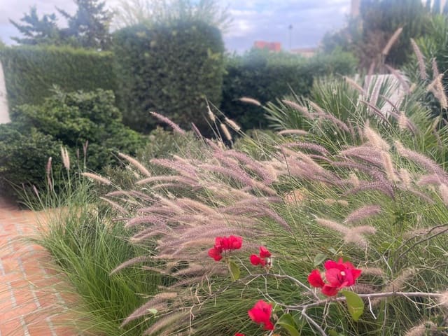 4 bedroom Villa for rent in La Peraleja Golf Resort, Murcia city with pool garage - € 1,200 (Ref: 8665908)