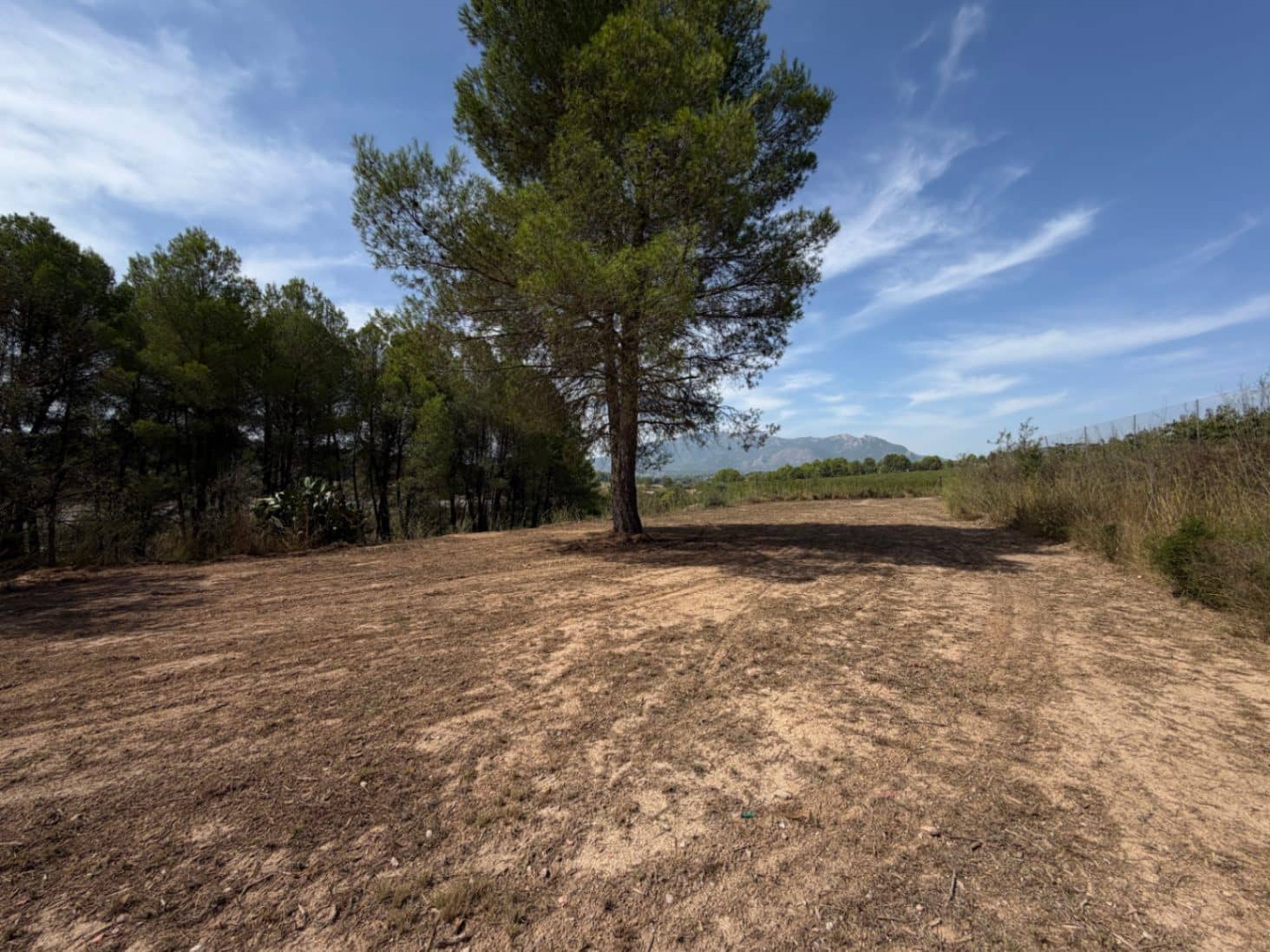 6 bedroom Finca/Country House for sale in Planes with pool garage - € 530,000 (Ref: 10032462)