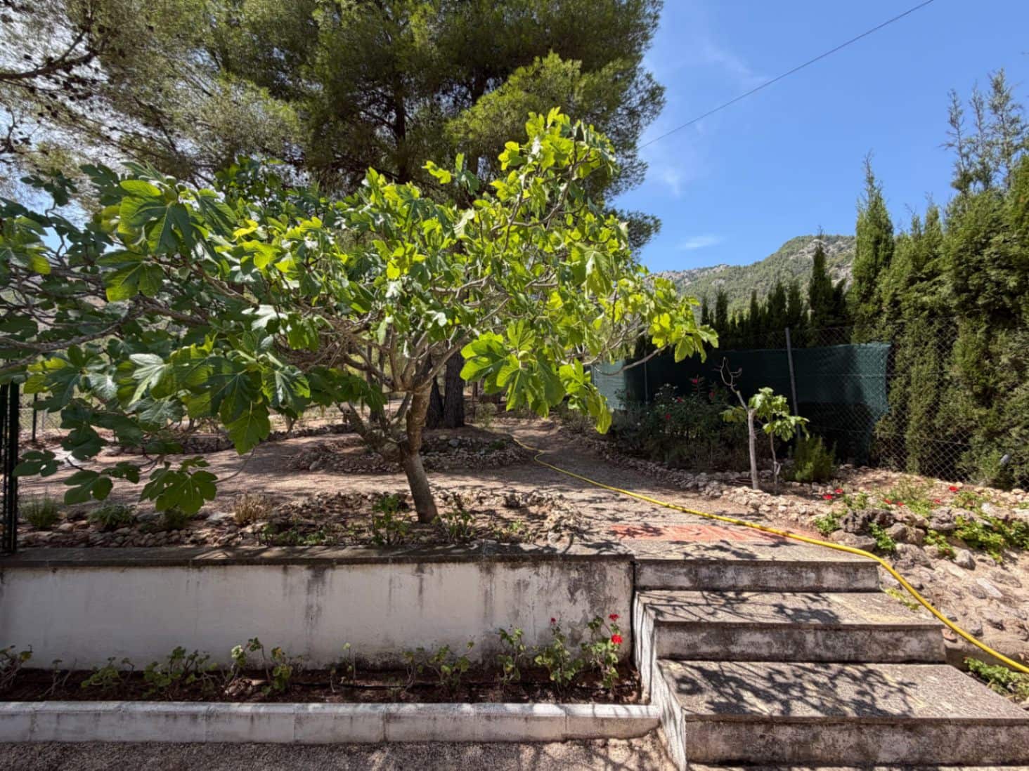 3 bedroom Villa for sale in Muro de Alcoy with pool garage - € 210,000 (Ref: 10032463)