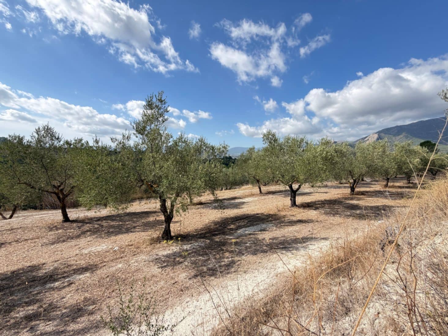 1 chambre Finca/Maison de Campagne à vendre à Cocentaina - 63 000 € (Ref: 10060698)