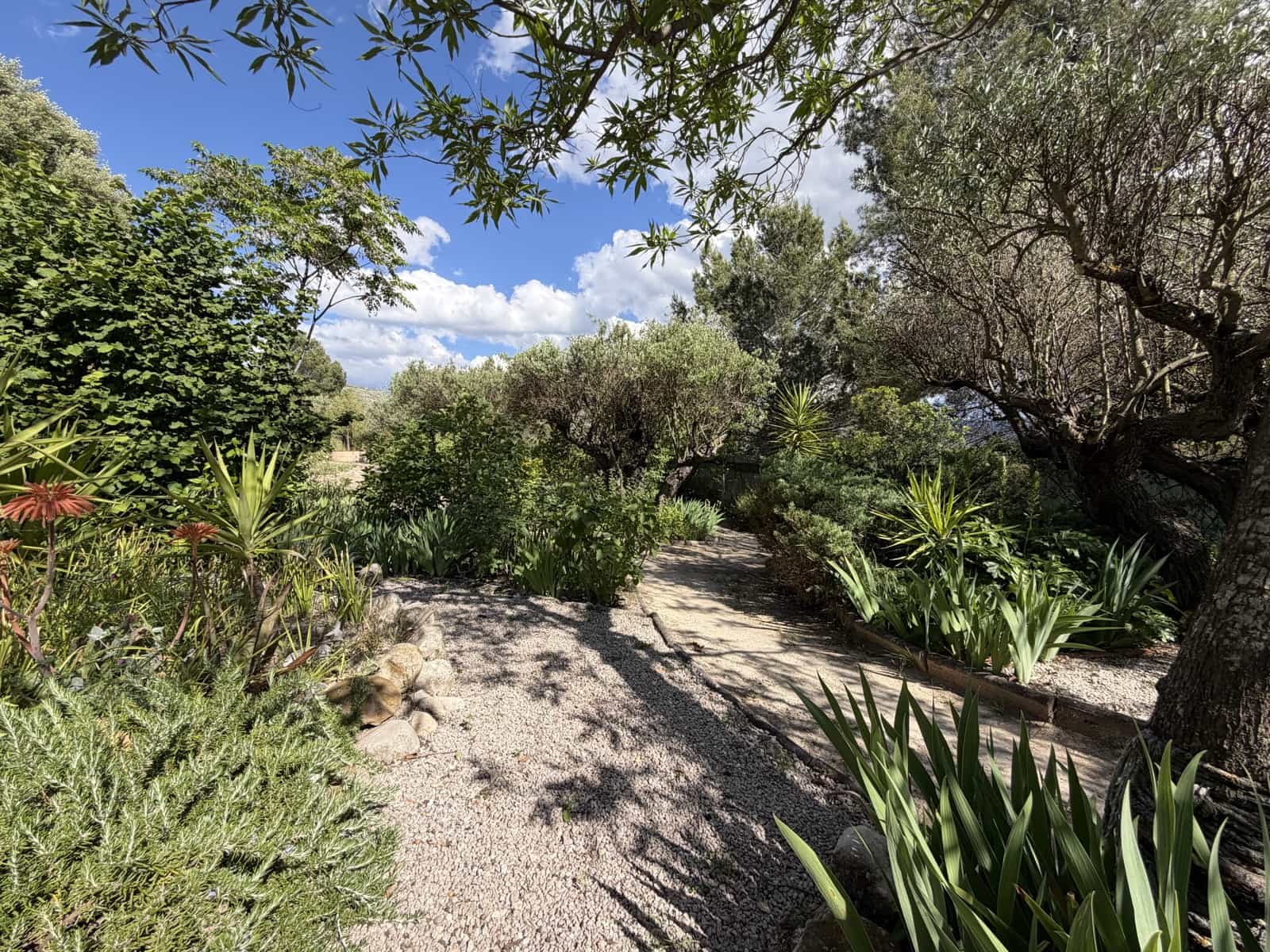 4 bedroom Finca/Country House for sale in Millena with pool garage - € 190,000 (Ref: 9937341)