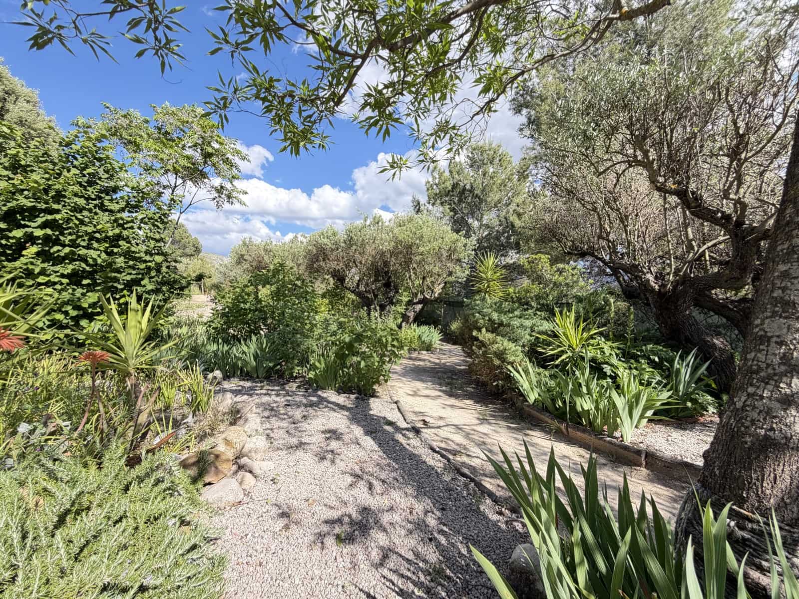 4 bedroom Finca/Country House for sale in Millena with pool garage - € 190,000 (Ref: 9937341)