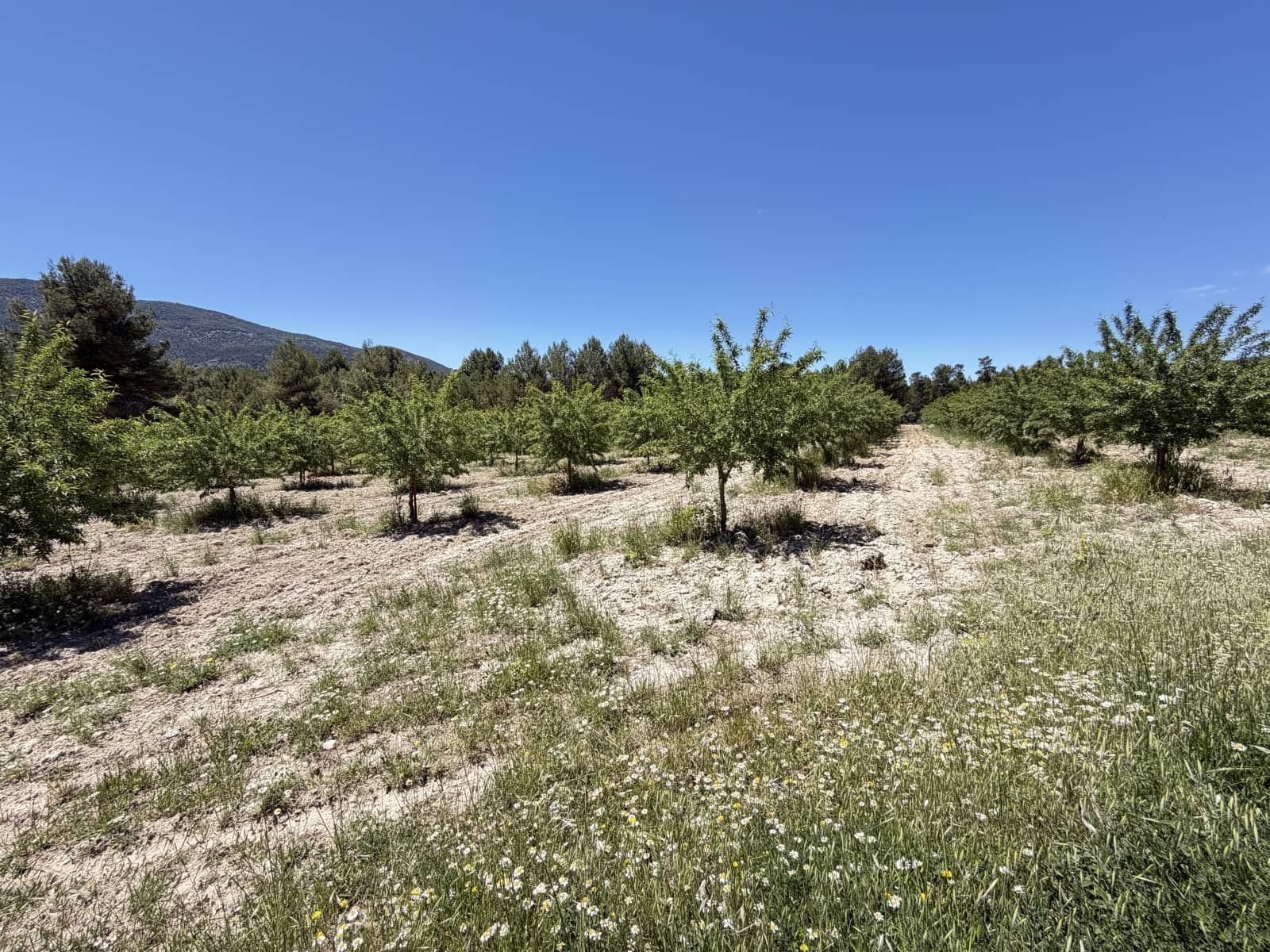 6 sovrum Villa till salu i Alcoy / Alcoi med garage - 549 999 € (Ref: 9938807)