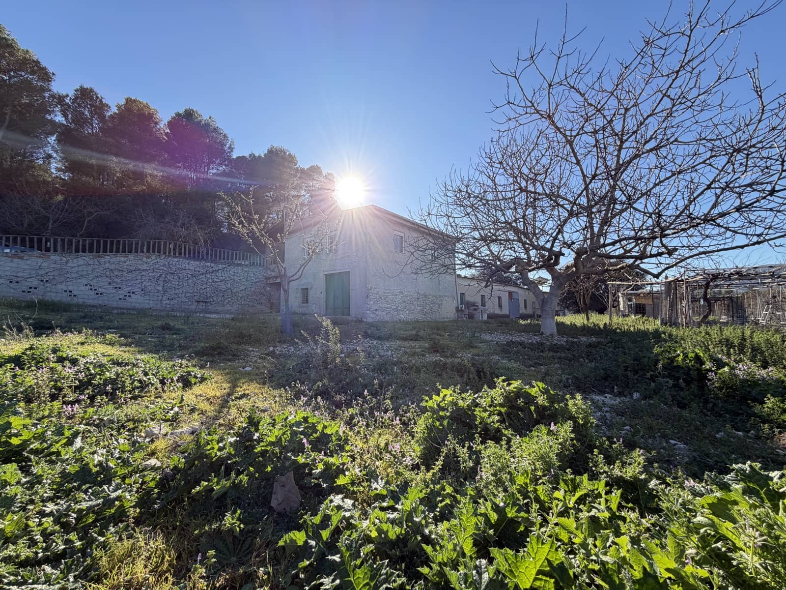 4 quarto Quinta/Casa Rural para venda em Planes - 620 000 € (Ref: 9940781)