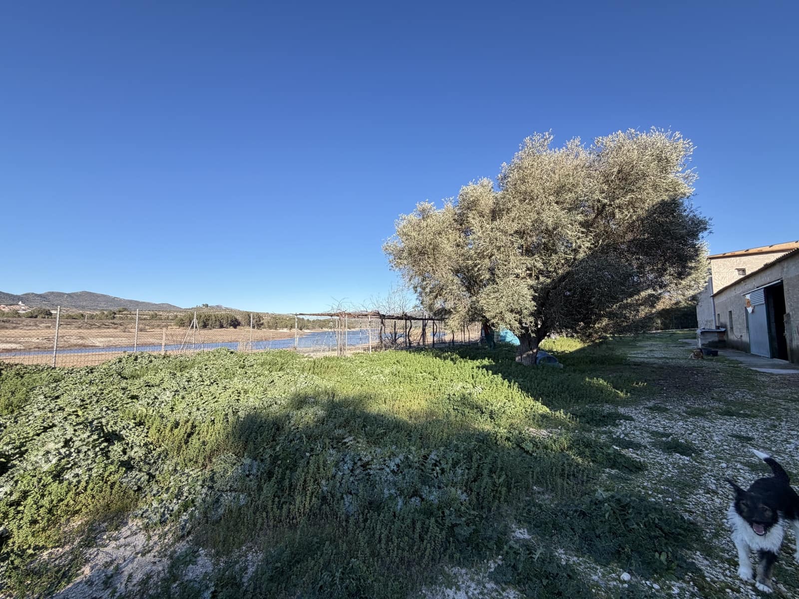 4 quarto Quinta/Casa Rural para venda em Planes - 620 000 € (Ref: 9940781)