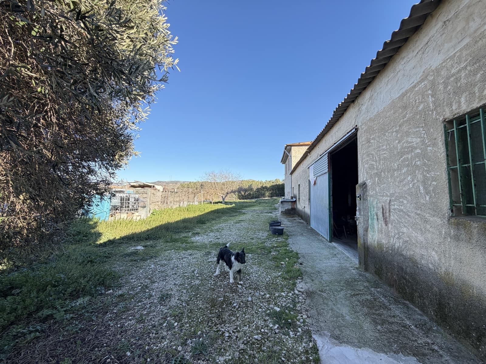 4 quarto Quinta/Casa Rural para venda em Planes - 620 000 € (Ref: 9940781)