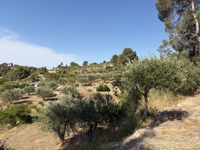 2 Zimmer Finca/Landgut zu verkaufen in Cocentaina mit Garage - 100.000 € (Ref: 9946800)