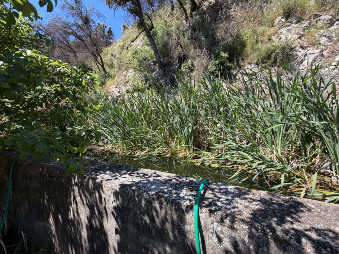 Finca/Casa Rural de 2 habitaciones en Alcoleja en venta - 50.000 € (Ref: 9997561)