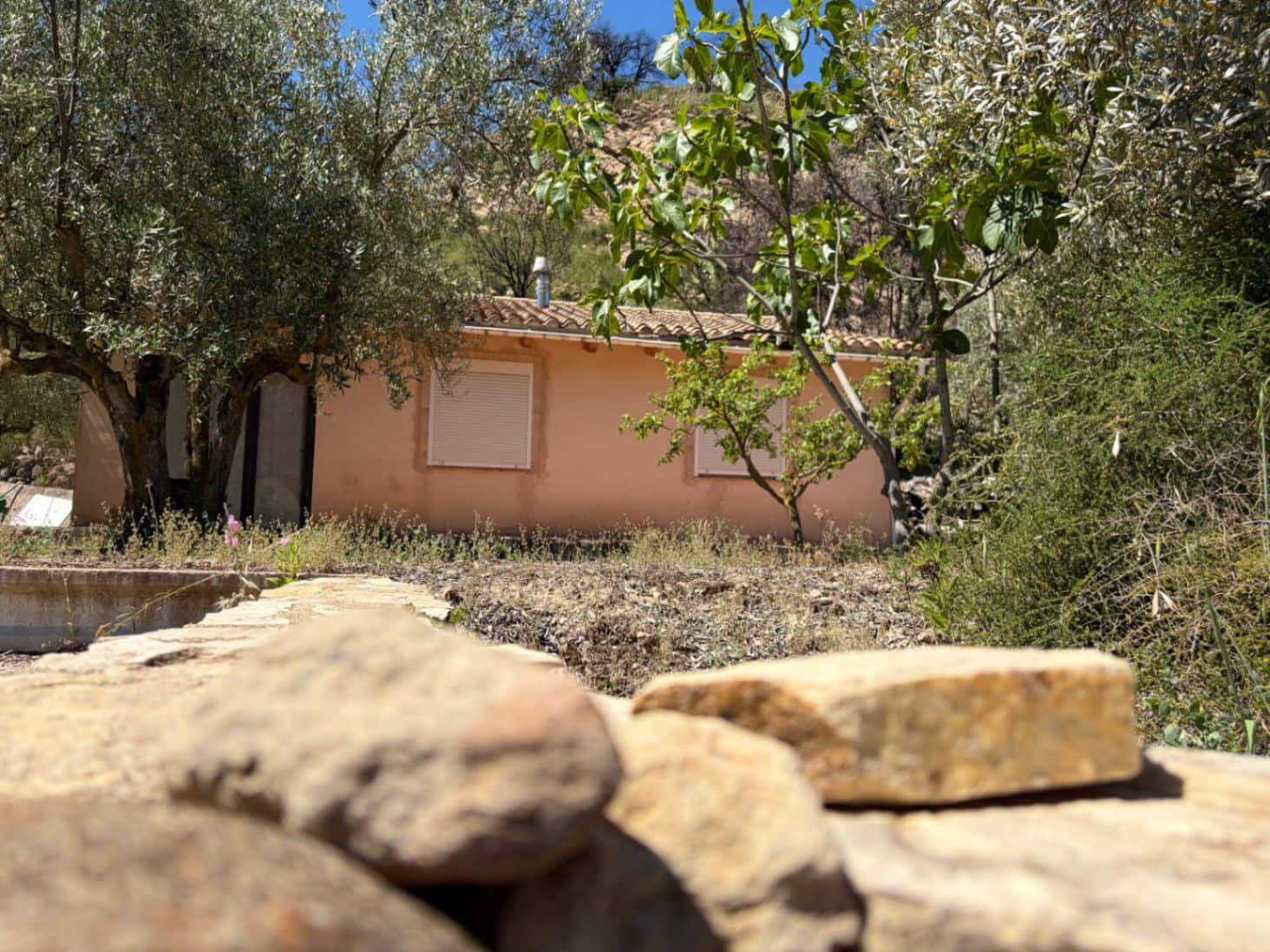 Finca/Casa Rural de 2 habitaciones en Alcoleja en venta - 50.000 € (Ref: 9997561)