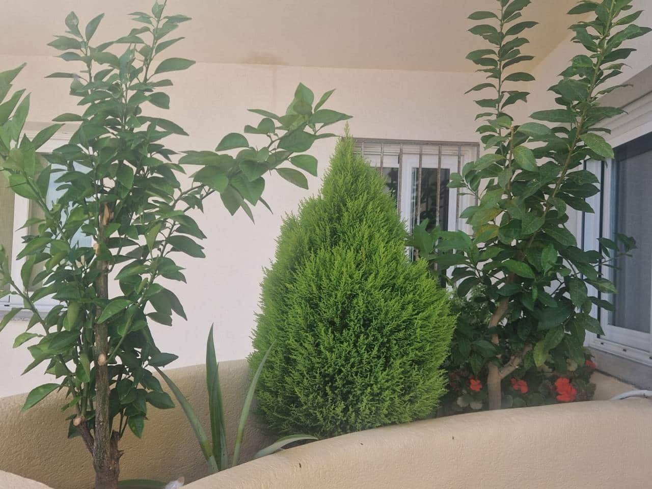 3 bedroom Flat for rent in Benalmadena with pool garage - € 2,000 (Ref: 5732295)