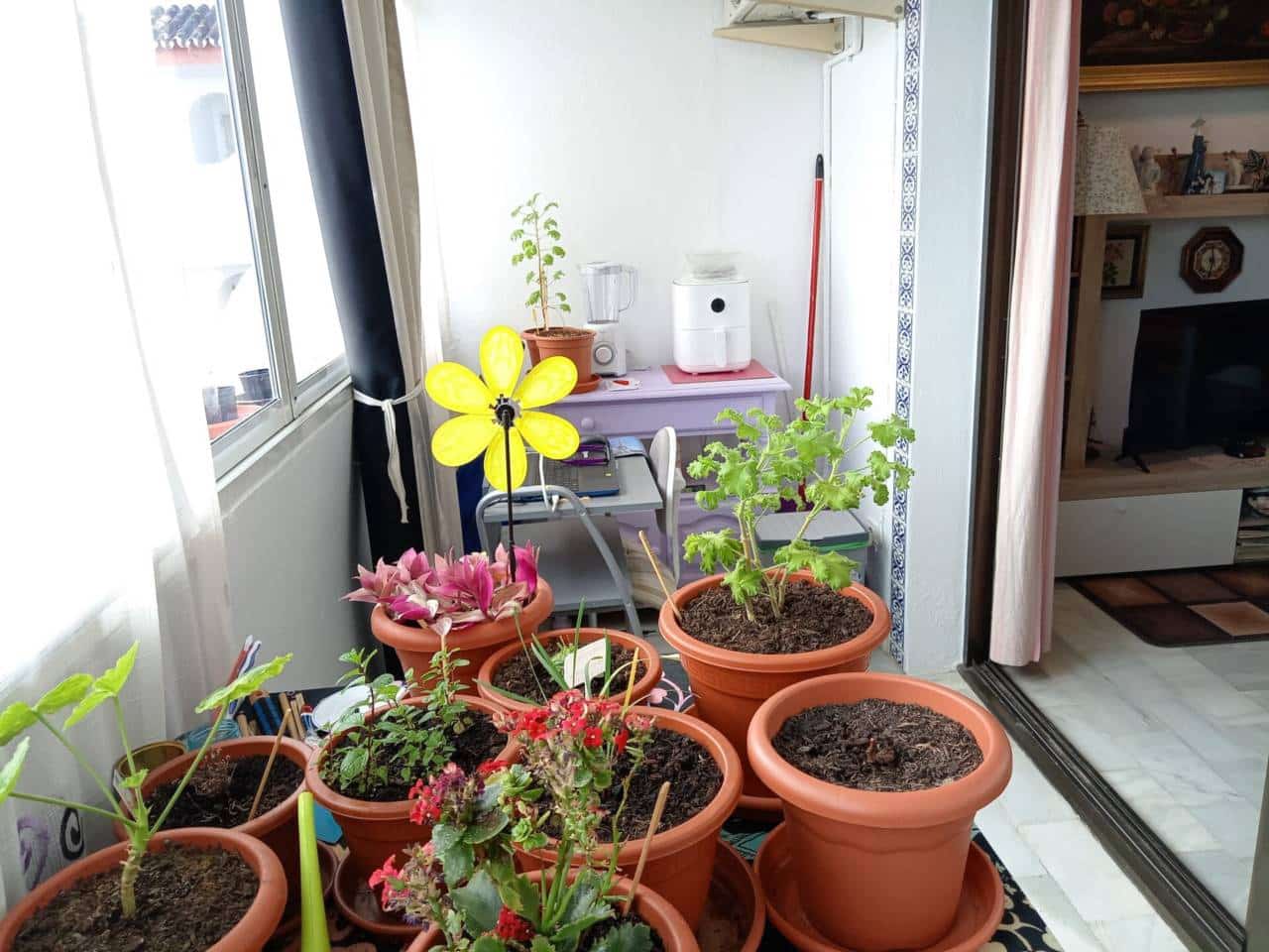 1 soveværelse Lejlighed til salg i Torremolinos med swimmingpool - € 240.000 (Ref: 5859021)