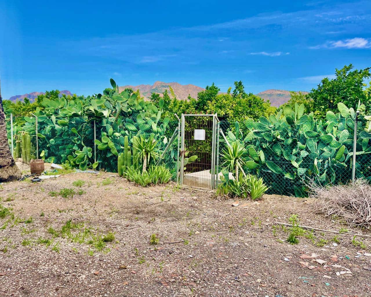 8 slaapkamer Finca/Landhuis te koop in Orihuela met zwembad garage - € 1.500.000 (Ref: 7632089)