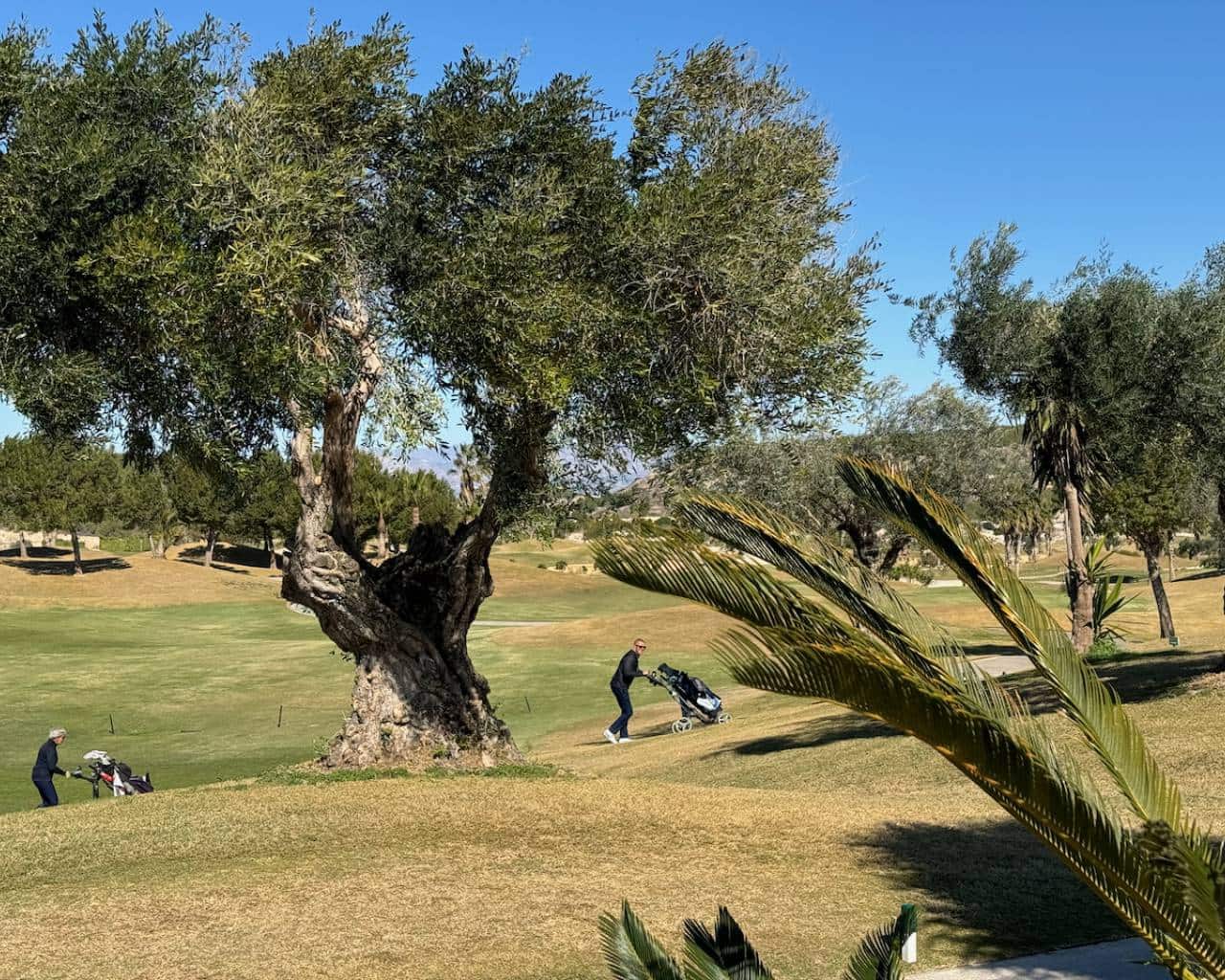 3 bedroom Villa for sale in Los Montesinos with pool garage - € 469,900 (Ref: 8132963)