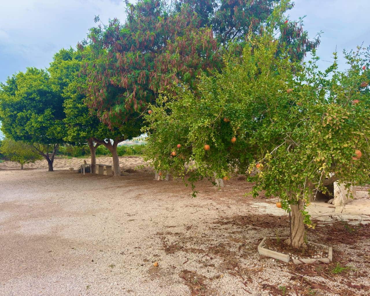 3 soveværelse Finca/Landehus til salg i Ciudad Quesada med garage - € 220.000 (Ref: 9216155)