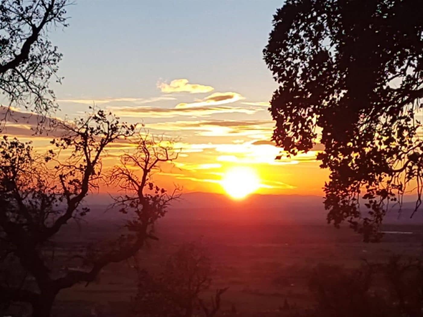 Byggegrund til salg i Palau-saverdera - € 730.000 (Ref: 7437388)