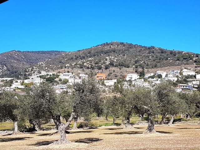 Building Plot for sale in Palau-saverdera - € 730,000 (Ref: 7437388)