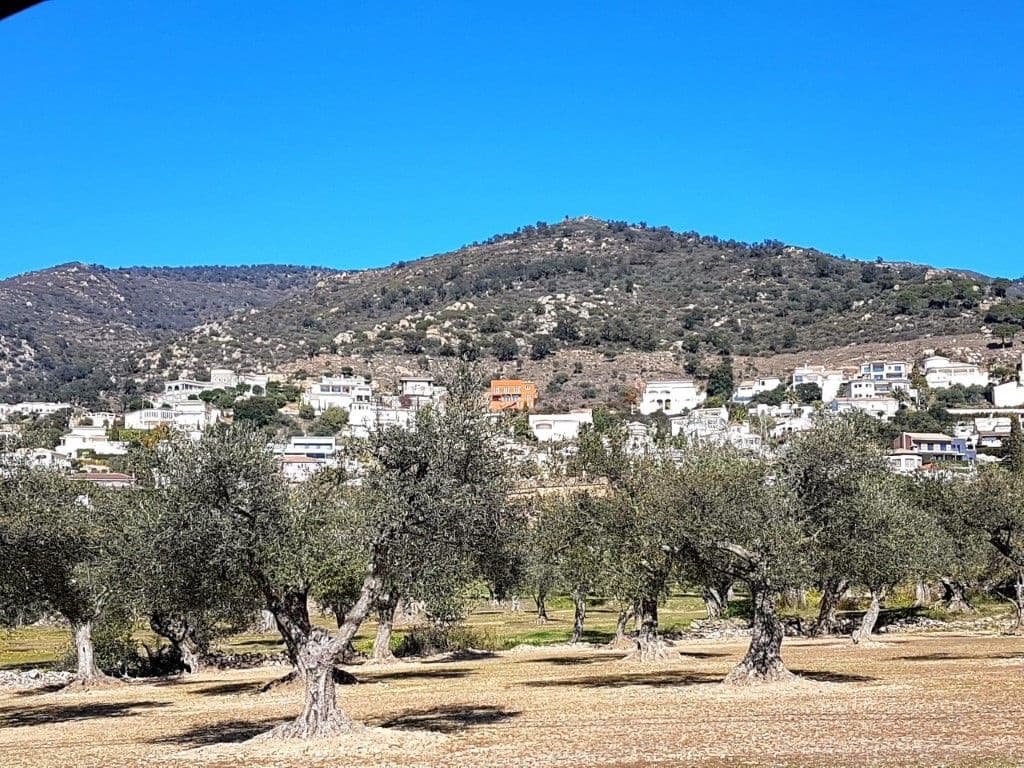 Byggegrund til salg i Palau-saverdera - € 730.000 (Ref: 7437388)