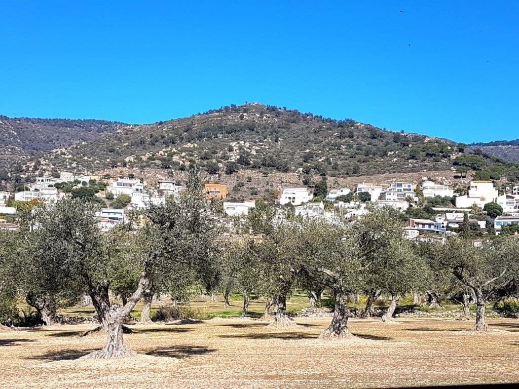 Byggegrund til salg i Palau-saverdera - € 189.000 (Ref: 7510990)