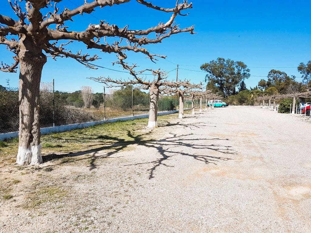 Studio til salg i Roses med swimmingpool - € 89.500 (Ref: 9239305)