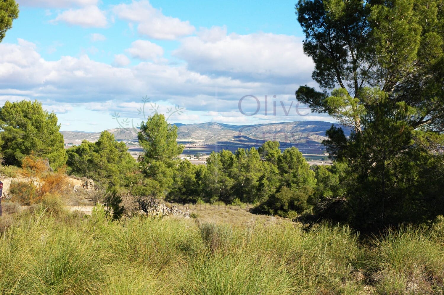 3 soveværelse Finca/Landehus til salg i Caudete med garage - € 159.995 (Ref: 6769175)