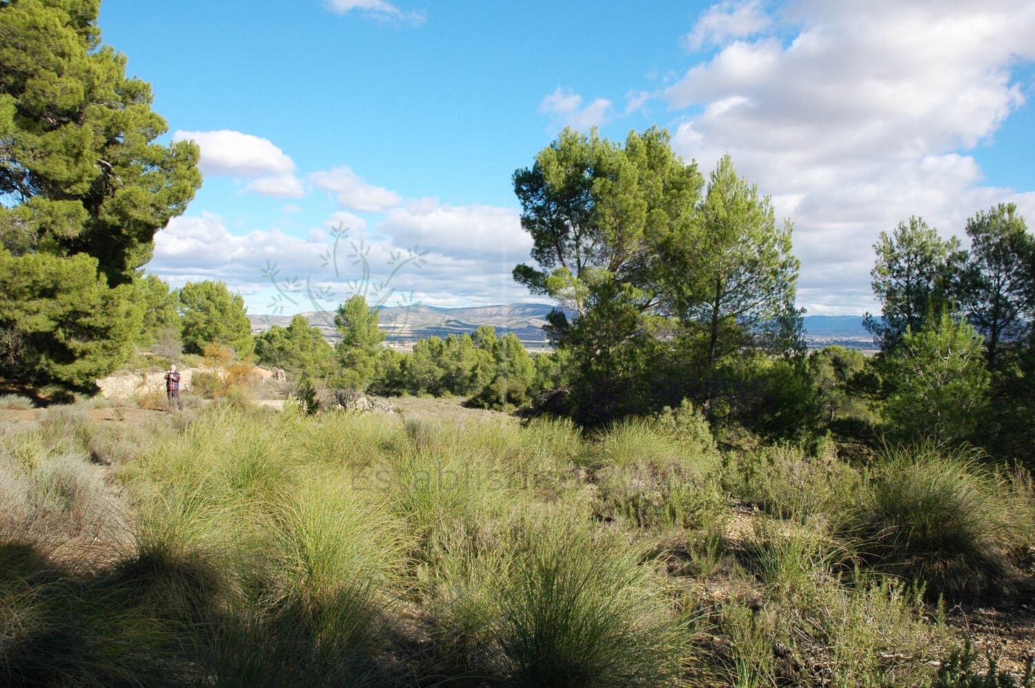 3 soveværelse Finca/Landehus til salg i Caudete med garage - € 159.995 (Ref: 6769175)