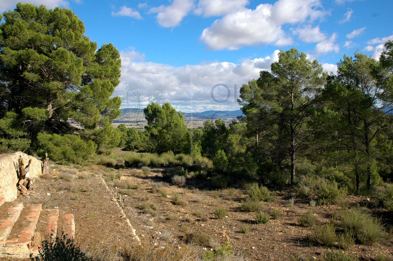 3 soveværelse Finca/Landehus til salg i Caudete med garage - € 159.995 (Ref: 6769175)