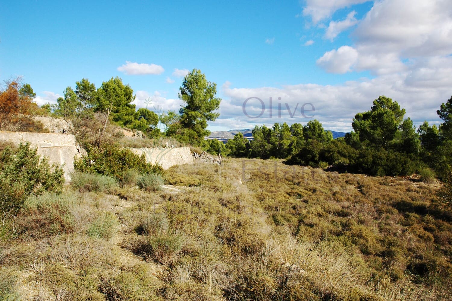 3 soveværelse Finca/Landehus til salg i Caudete med garage - € 159.995 (Ref: 6769175)