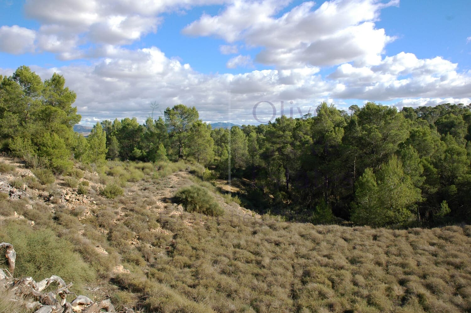 3 soveværelse Finca/Landehus til salg i Caudete med garage - € 159.995 (Ref: 6769175)