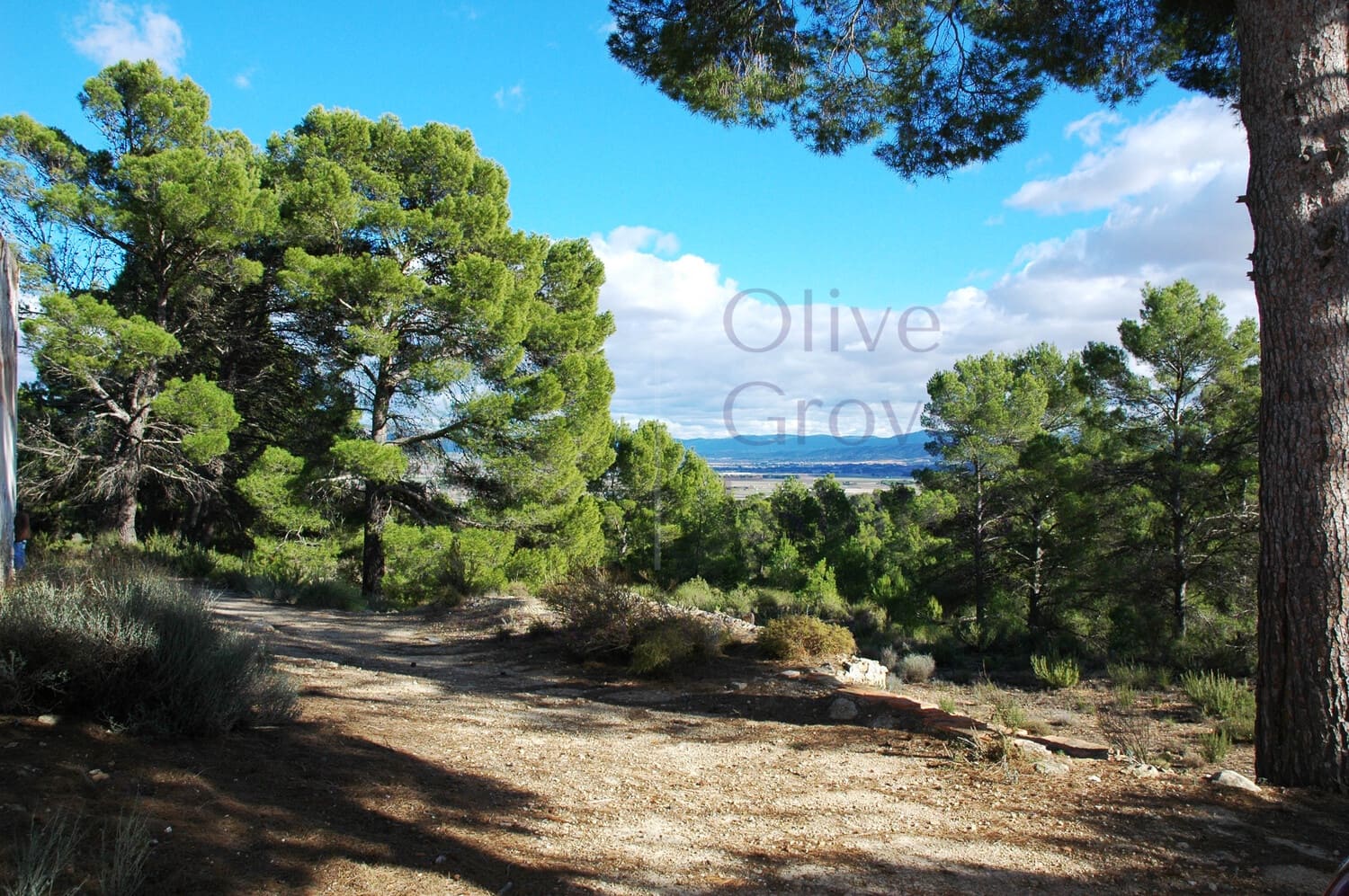 3 soveværelse Finca/Landehus til salg i Caudete med garage - € 159.995 (Ref: 6769175)