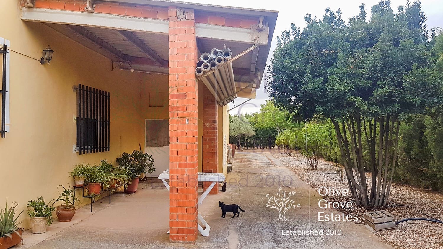 4 quarto Quinta/Casa Rural para venda em Almansa com piscina garagem - 349 995 € (Ref: 6769178)