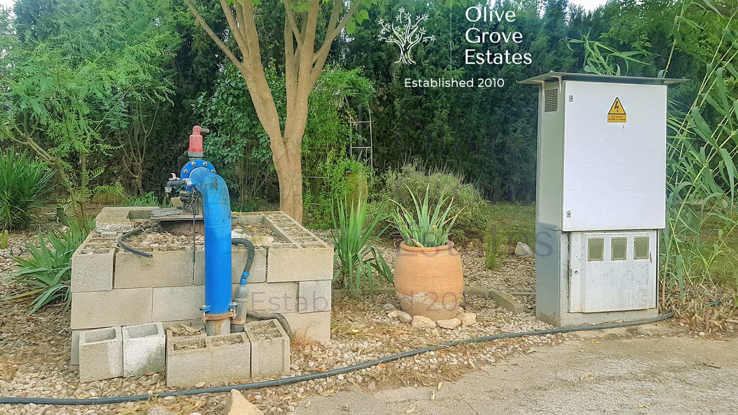 4 quarto Quinta/Casa Rural para venda em Almansa com piscina garagem - 349 995 € (Ref: 6769178)