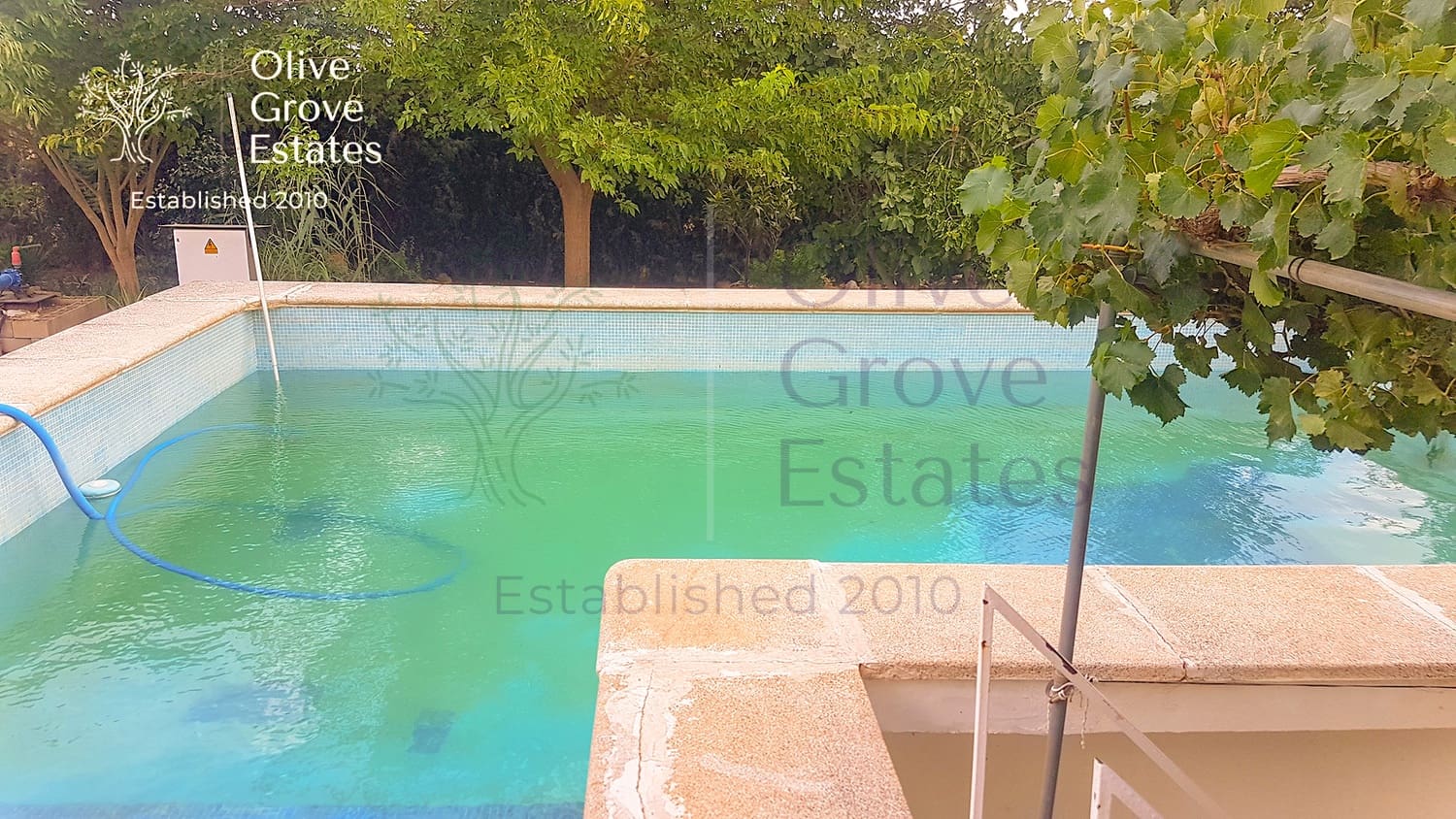 4 quarto Quinta/Casa Rural para venda em Almansa com piscina garagem - 349 995 € (Ref: 6769178)