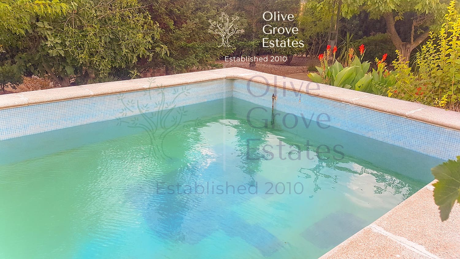 4 quarto Quinta/Casa Rural para venda em Almansa com piscina garagem - 349 995 € (Ref: 6769178)